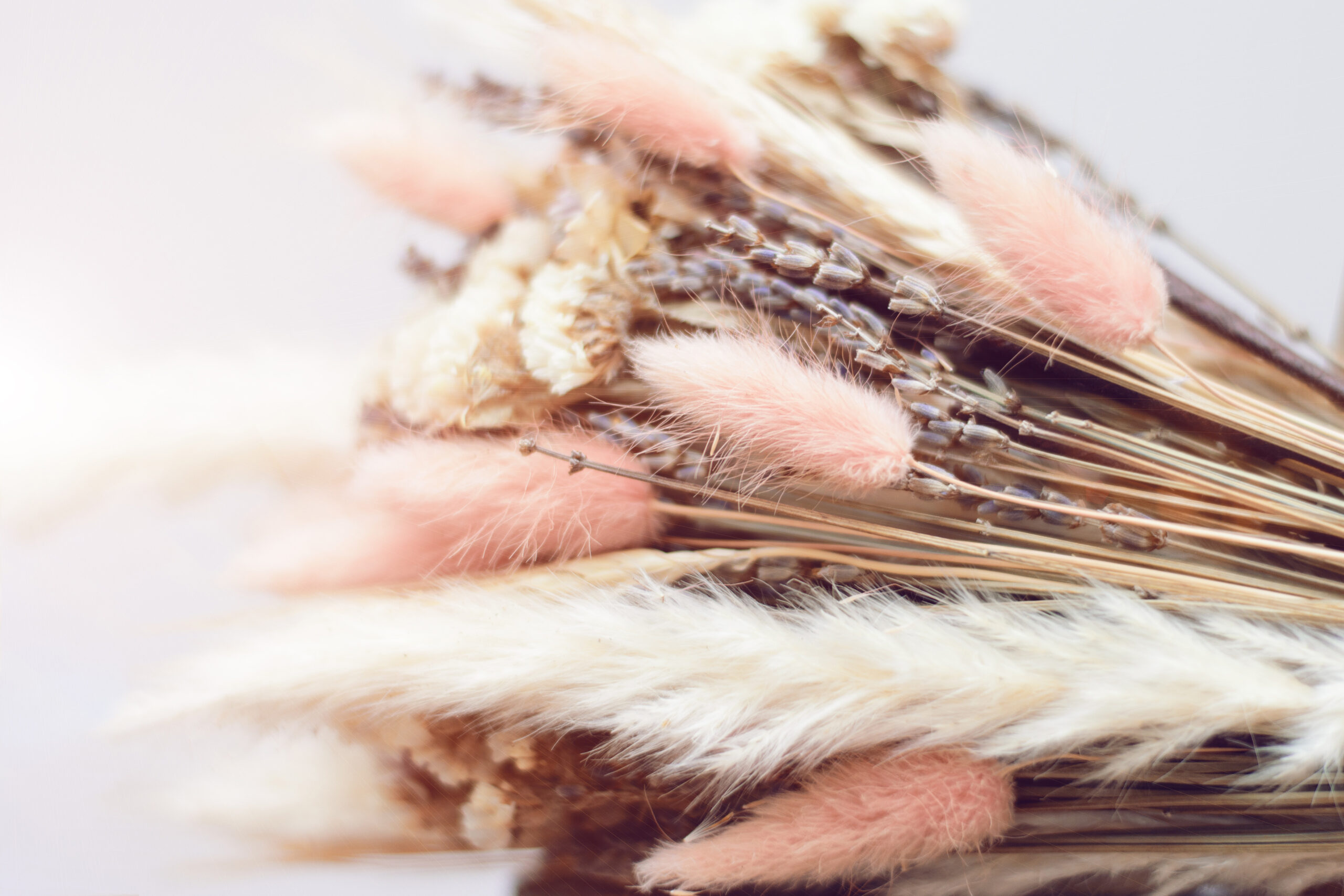 Getrocknete Blumen sinnbildlich für trockener Intimbereich Deumavan®